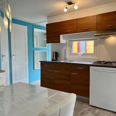 Σπίτι διακοπών Modern In Campanula Park With Garden Sint Maartensvlotbrug