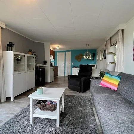 Modern In Campanula Park With Garden