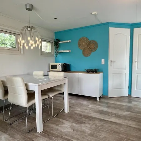 Modern In Campanula Park With Garden *