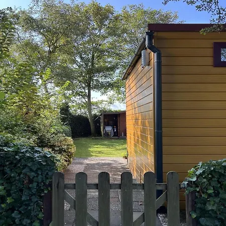 Modern In Campanula Park With Garden *