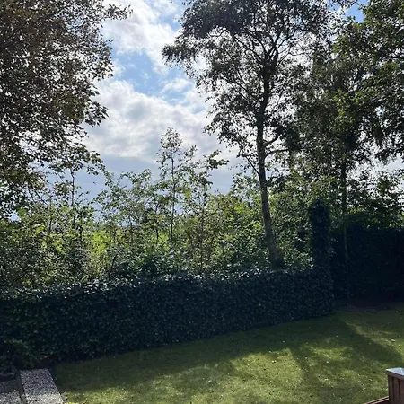 Modern In Campanula Park With Garden *