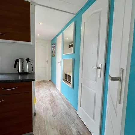 Modern In Campanula Park With Garden