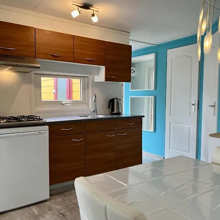 Modern In Campanula Park With Garden 別荘 Sint Maartensvlotbrug