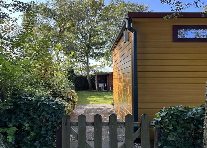 Modern In Campanula Park With Garden *