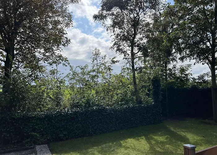 Modern In Campanula Park With Garden *