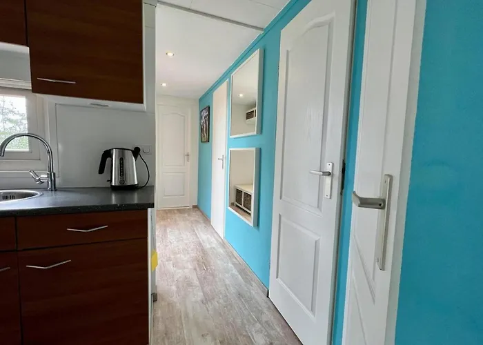 Modern In Campanula Park With Garden